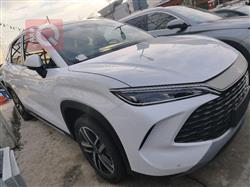 بي واي دي سونغ L DM-i